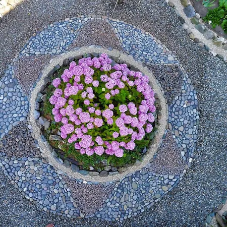 Apartamento Ruhe-auf-dem-land