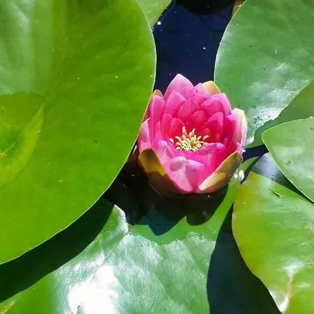 Apartment Ruhe-auf-dem-land