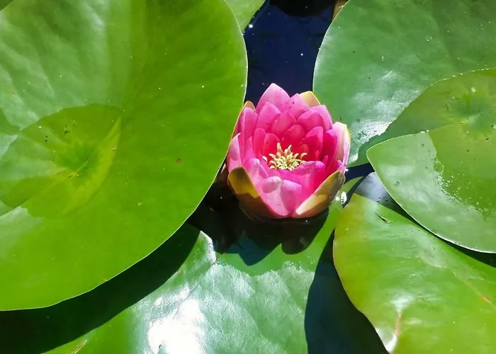 Apartamento Ruhe-auf-dem-land